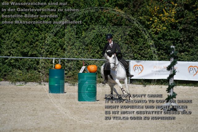 s_K3F03481.JPG